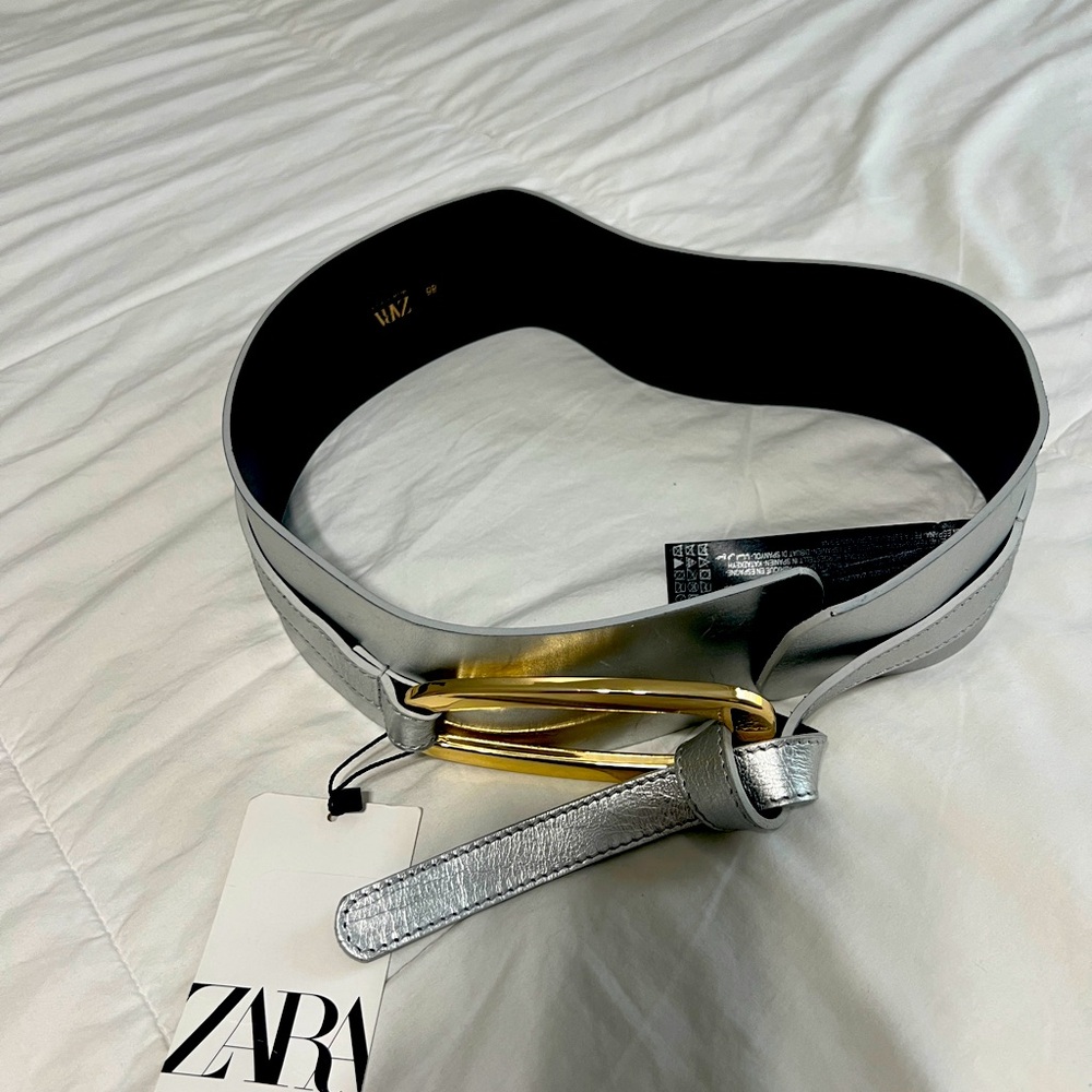 Zara Silver Metallic Belt with Gold Buckle